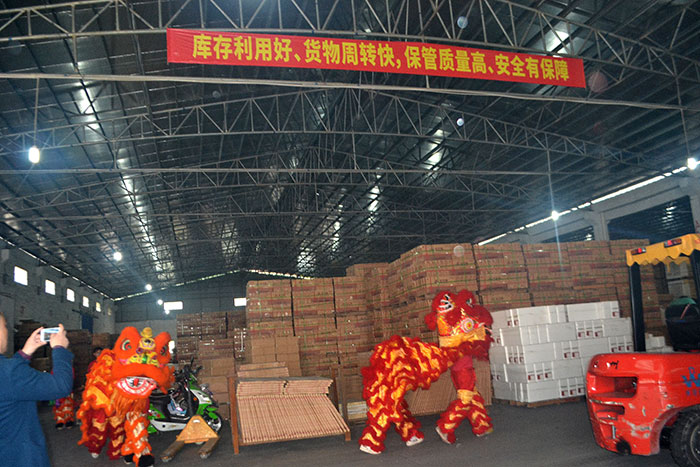 香蕉APP直播陶新年开工，2017撸起袖子拼命干！